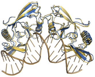 Protein-DNA Docking Benchmark
